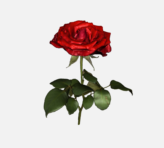 portfolio-image